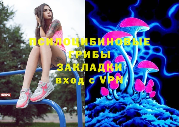 apvp Михайловск