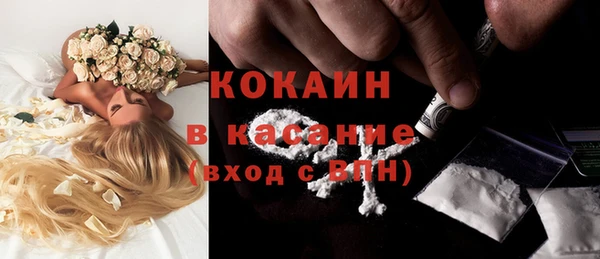 тгк Алзамай