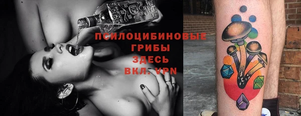 крисы Алексеевка
