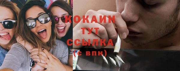 тгк Алзамай