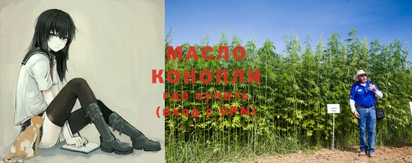 гашик Михайлов